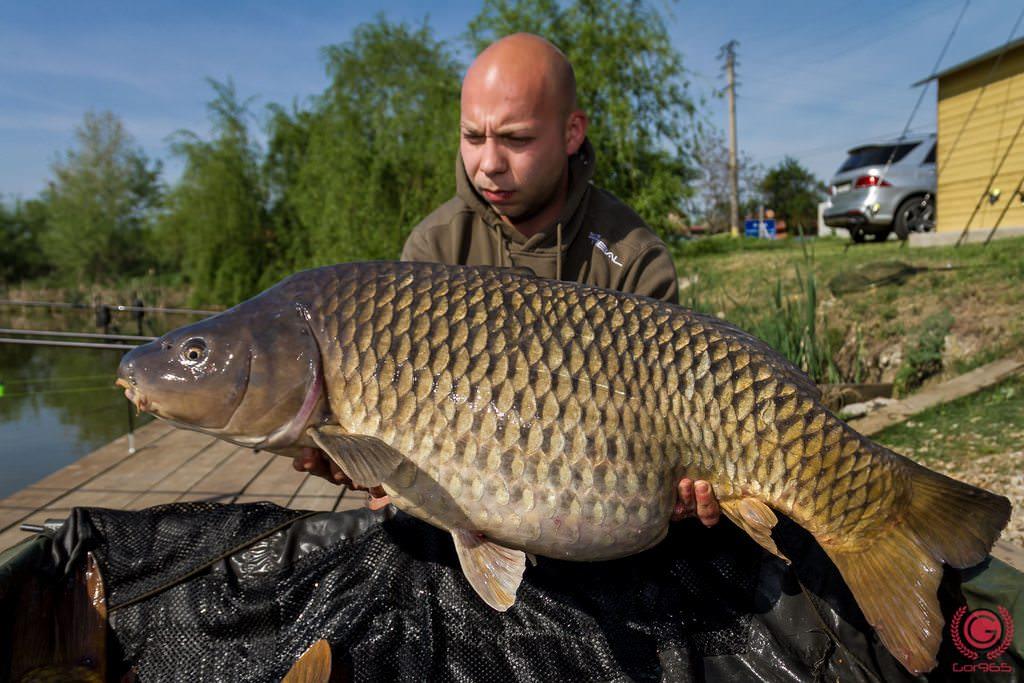 TX7, o lanseta de 7 stele.